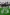 Robots playing on the field, RoboCup 2019, Sydney, New South Wales © RoboCup 2019